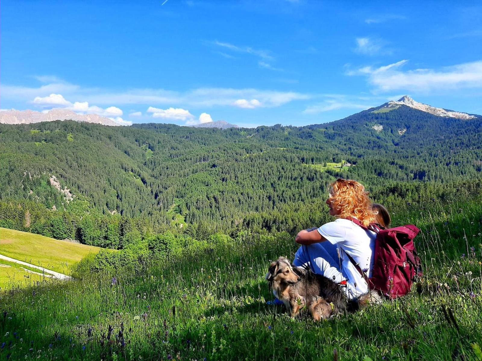 אלדינו Gasthof Schmiederalm מראה חיצוני תמונה